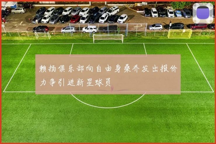 赖扬俱乐部向自由身桑乔发出报价力争引进新星球员