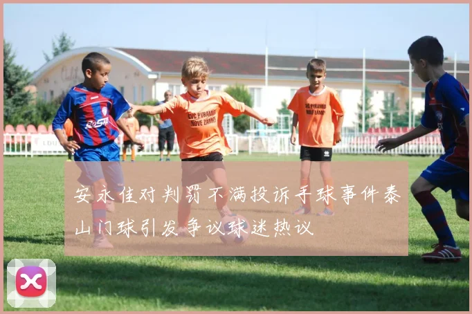 安永佳对判罚不满投诉手球事件泰山门球引发争议球迷热议