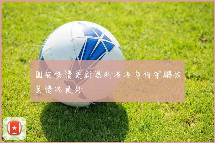 国安伤情更新恩科洛洛与何宇鹏恢复情况良好